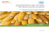 Caractérisation des ménages producteurs de maïs en zone de ...