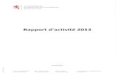 Rapports d'activité 2013