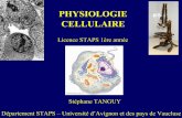 PHYSIOLOGIE CELLULAIRE