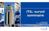 ITIL sommaire NST