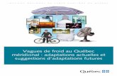 Vagues de froid au Québec méridional : adaptations actuelles et ...