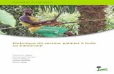 Historique du secteur palmier à huile au Cameroun