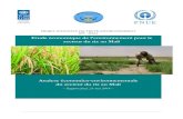 Etude économique de l'environnement pour le secteur du riz au Mali ...