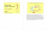 Physiologie Cardio-Vasculaire