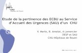 IU étude de la pertinence de la prescription de l'ECBU aux urgences