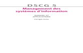 DSCG5 - Management des systèmes d'information - manuel et ...