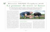 Réseau DEPHY Ecophyto 2018 : La pomme de terre se lance.