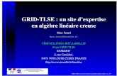 GRID-TLSE : un site d'expertise en algèbre linéaire creuse