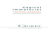 Capital Immatériel – 7 jours pour comprendre - Cigref