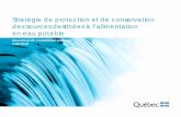 Stratégie de protection et de conservation des sources destinées à l ...