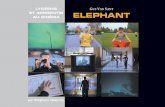 Dossier Elephant