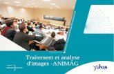 Traitement et analyse d'images -ANIMAG (INSA LYON)