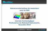 Grenoble 2010 - MESULOG - Presentation CEA MEIS
