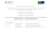 PhD thesis A. Campagne