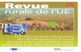 Les instruments financiers du développement rural: de nouvelles ...