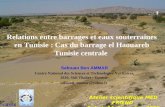 Cas du barrage el Haouareb Tunisie centrale (.ppt
