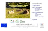 Référentiel élevage 2016 (conjoncture 2015) d'INOSYS réseaux d ...