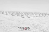 Le programme 2016 du centenaire de la bataille de Verdun