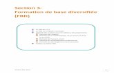 Section 3- Formation de base diversifiée (FBD)