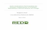 Auto-évaluation Participative du Dossier Préparatoire à la REDD+ ...