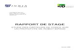 rapport de stage - sed