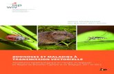 Rapport zoonose et maladies à transmission vectorielle 2012