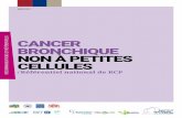 CANCER BRONCHIQUE NON À PETITES CELLULES