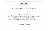 Préfecture du Cher SCHÉMA DÉPARTEMENTAL DE ...