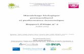 Etude maraîchage permaculturel - Rapport intermédiaire 2013.pdf