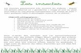 Fiches INSECTES 1.pdf