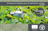 Techniques d'Irrigation pour les Agriculteurs à Petite Échelle ...