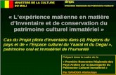 L'expérience malienne en matière d'inventaire et de conservation du ...