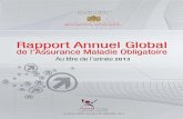Rapport Annuel Global de l'AMO 2013