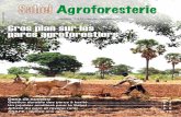 Sahel Agroforesterie n° 11-12