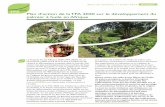 Plan d'action de la TFA 2020 sur le développement du palmier à ...