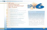 IPv6, passeport pour l'Internet du Futur
