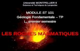 TP2 Roches magmatiques