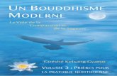 Un bouddhisme moderne - Volume 3