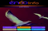 Énéo Info 14 - Janvier 2016