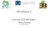 Génétique 2 Licence STS Biologie- Biochimie