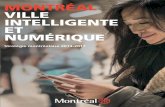 stratégie montréalaise 2014-2017