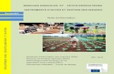 Marchés agricoles et petits producteurs -instruments d'accès et ...