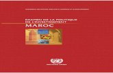 Examen de la politique de l'investissement du Maroc