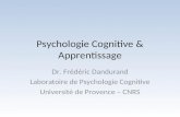 Apprentissage Psychologie Cognitive