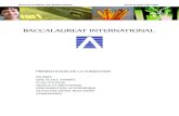Brochure Baccalauréat International