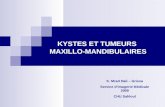 KYSTES ET TUMEURS MAXILLO-MANDIBULAIRES