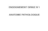 ED_7 Enseigneent dirigé N°1 Anatomie Pathologique