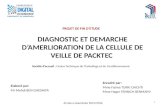 Diagnostic et démarche d'amélioration de la cellule de veille de PACKTEC