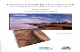 Limitantes y manejo de los suelos salinos y/o sodicos en el Altiplano ...