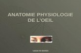 Anatomie physiologie de l'oeil allégé (1)